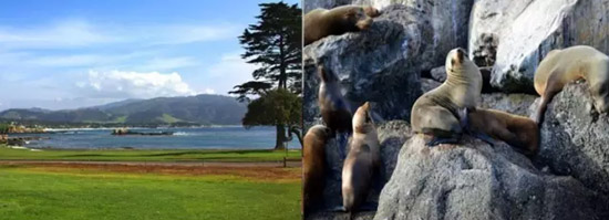 美國(guó)東西海岸+航母培訓(xùn)體驗(yàn) | 中信銀行私人銀行帶您領(lǐng)略不一樣的夏令營(yíng) 美國(guó)東西海岸+航母培訓(xùn)體驗(yàn) | 中信銀行私人銀行帶您領(lǐng)略不一樣的夏令營(yíng)